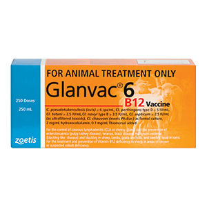 Glanvac 6 in1 B12
