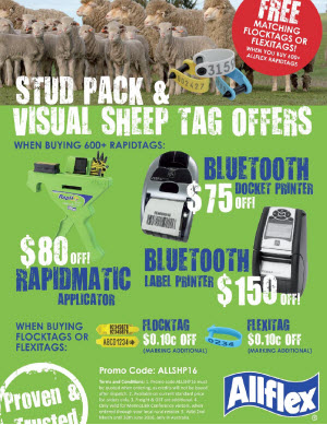 Allflex Stud Packs and Visual Sheep Tag Offers