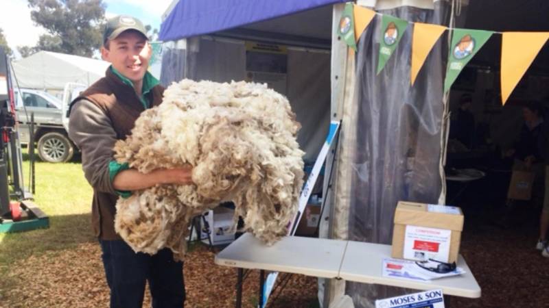 Fleece weight competition