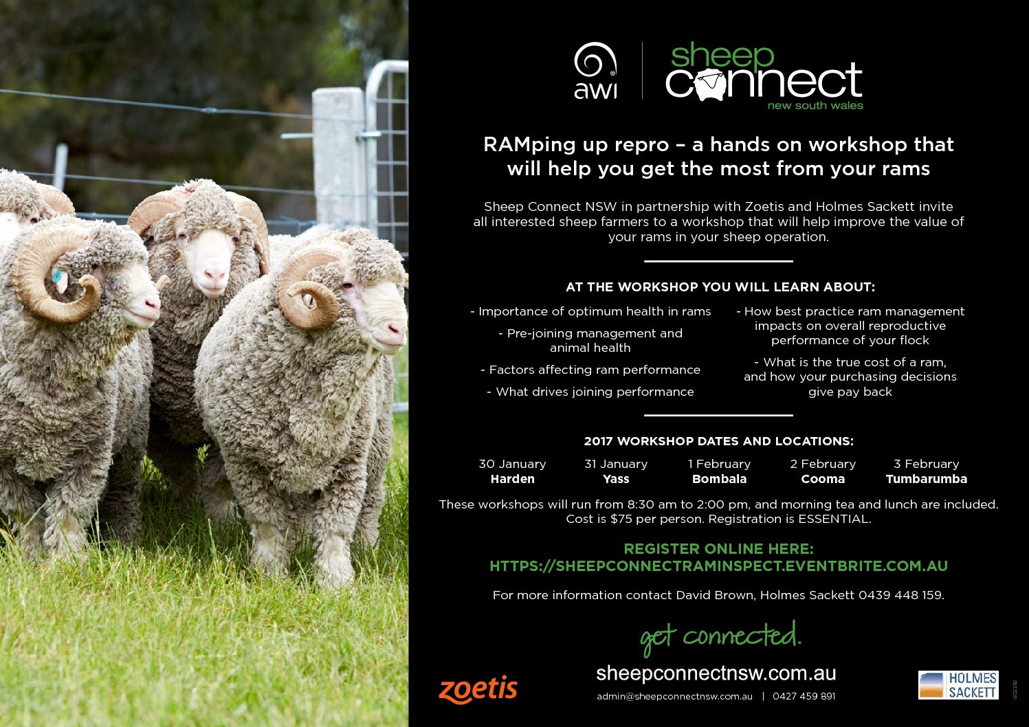 Sheep Connect Workshops