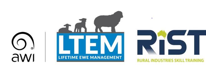 LIFETIME EWE MANAGEMENT - New South Wales