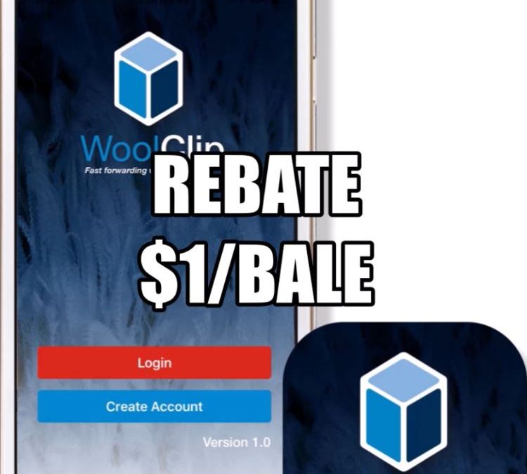 WoolClip Attracts Broker Rebate – PRESS RELEASE