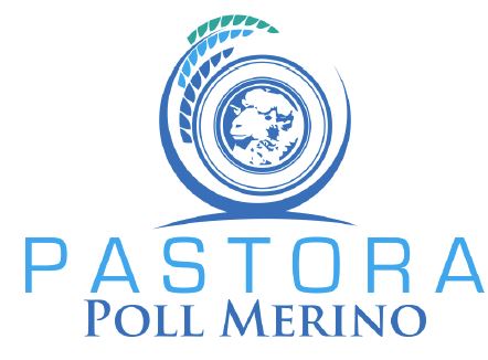 Pastora Poll Merino Inaugural Auction