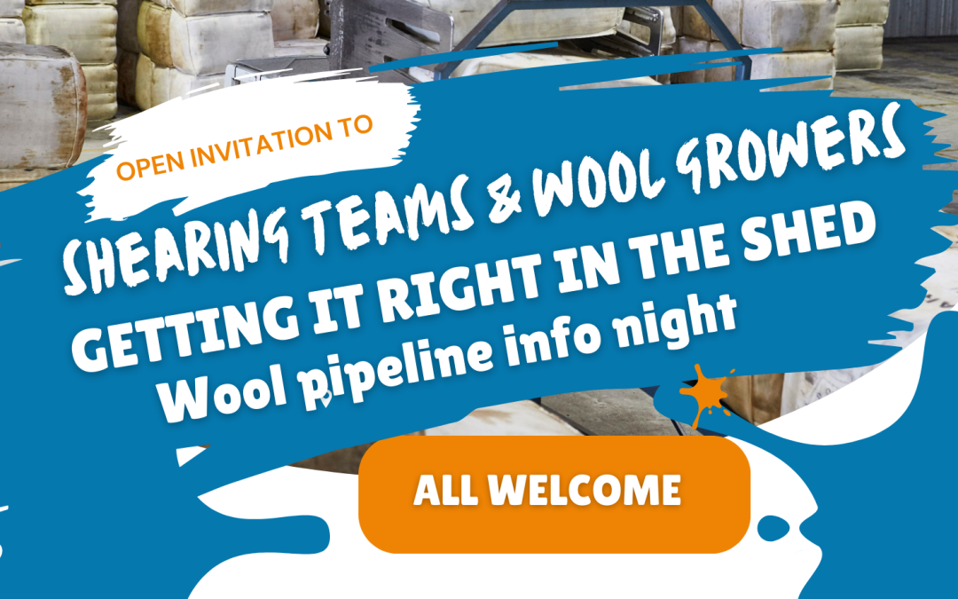 Getting it right in the shed – Wool Pipeline Info Night