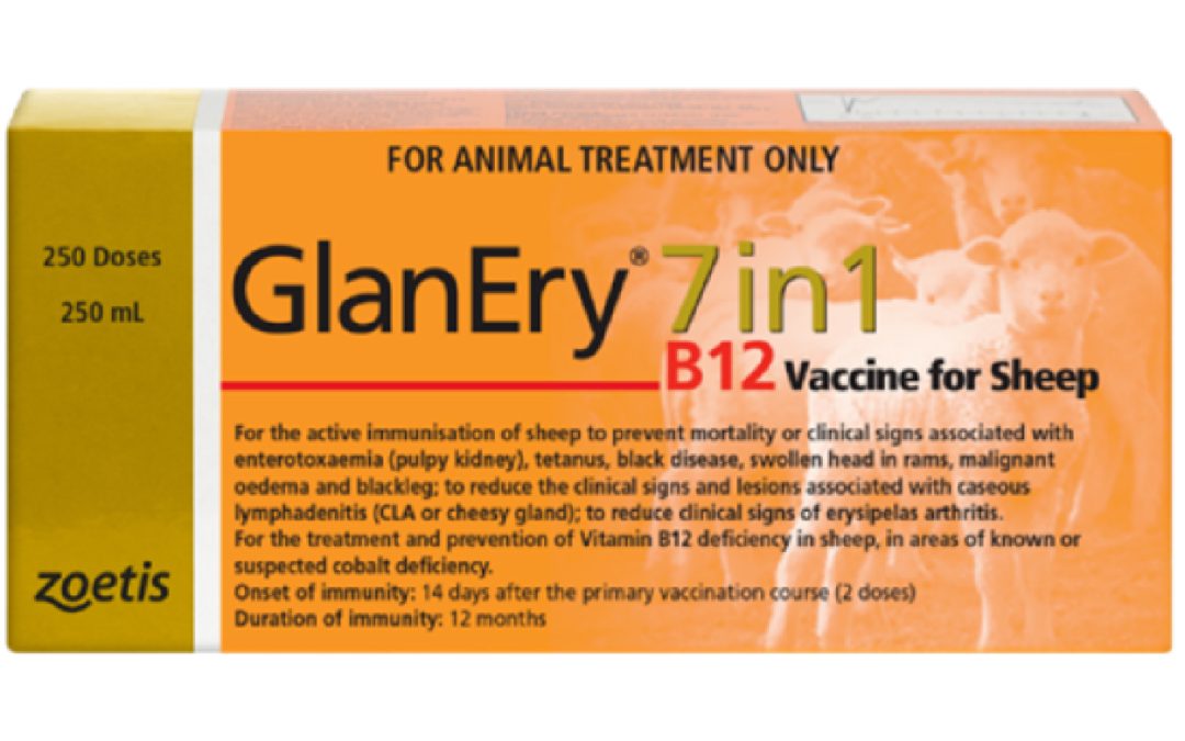 GlanEry® 7in1 B12