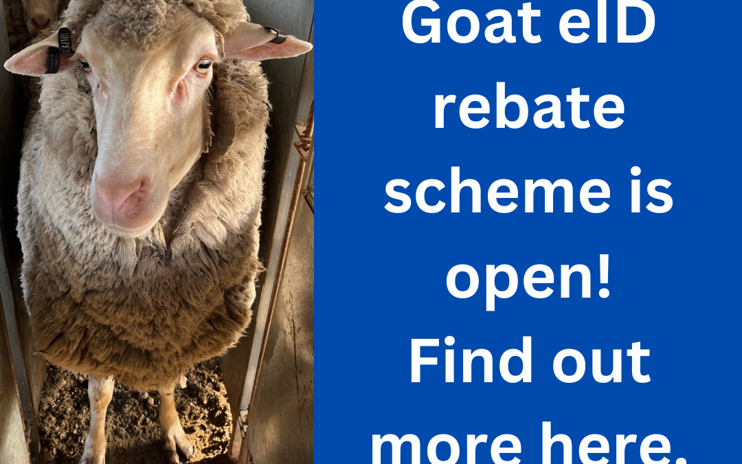 Sheep & Goat eID Rebate Scheme