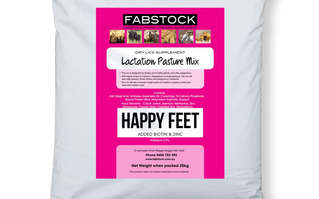 Fabstock Happy Feet