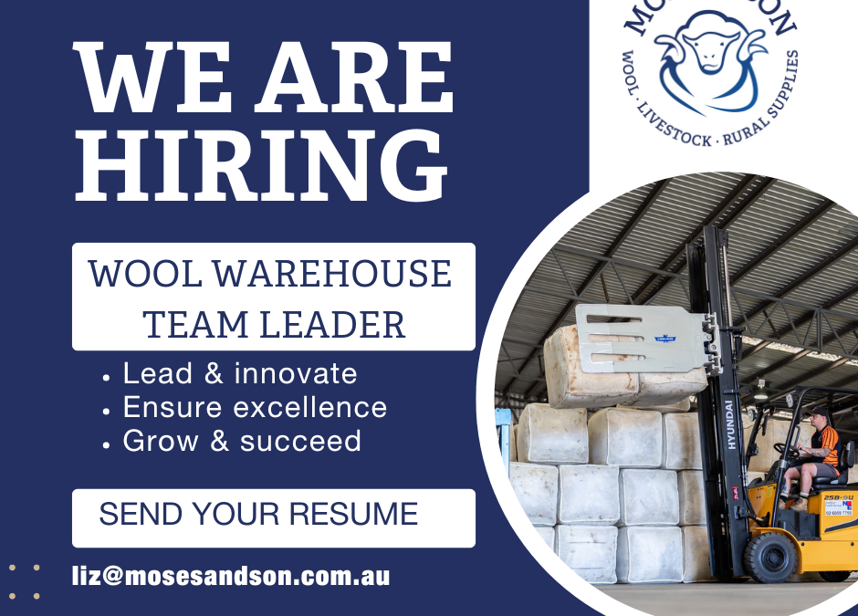 Wool Warehouse Team Leader